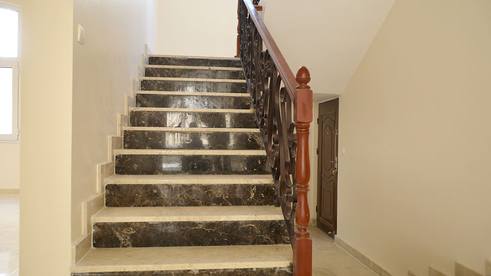 تضامن سيتي 1